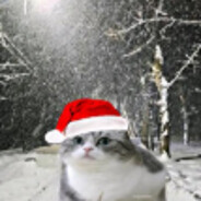 😽🙀BananChiki😹😺