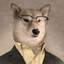 Coyote Jr