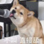 人称我非凡