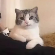Big Avatar