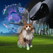 ♛ Bartolini213 ♛