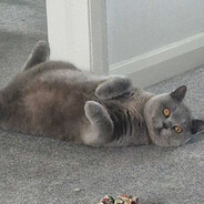 Chonk