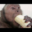 mOnkeyBaNana