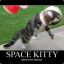 KittenFromOuterSpace