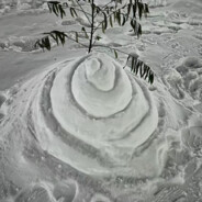 公的带鹿角的龙