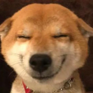 很急但又不是很急