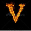 - vinizera -