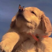 爱似晚霞，愈晚愈浓