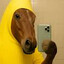Urbokie