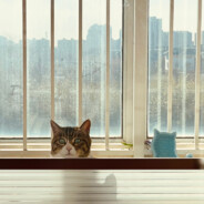 保持素质，提升自我