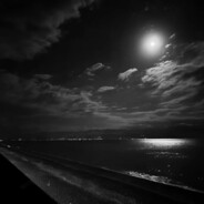 vernalcry - steam id 76561199266907975