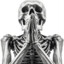 xzit3