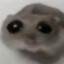 Hxrd