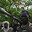 AfricanDruglord