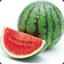 SMART WATERMELON
