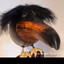 sebaa_3250