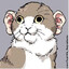 Котик с ушками's avatar