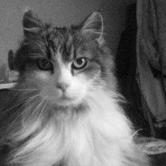 ♀ Sandula ♀ [PL]