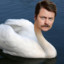 Ron Swan