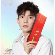 守旧派芙蓉王源