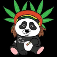 просто панда  🐼