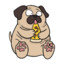 FatPugg