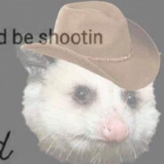 cowboy_opossum