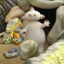 Makka Pakka