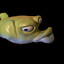 sad lonely fish
