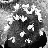 анальный верзила