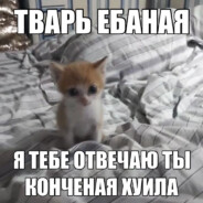 пютш