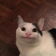 WHY ARE YOU GAY??????