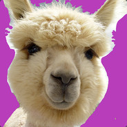 Disgusting Duck, the Alpaca