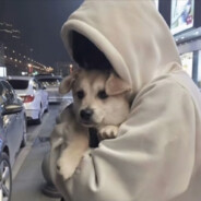 我菜我不难受嘛