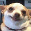 -=Sexy-Dog=-