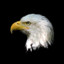 Eagle[NOR]