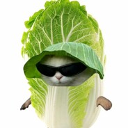 pepega (loss + 40fps + no sound)