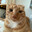 Merlin_03