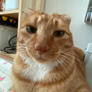 Merlin_03