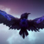 raven
