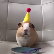 Министр Обороны