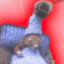 The Wicked Wango Card