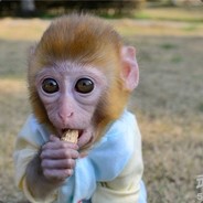 香蕉你个芭拉°