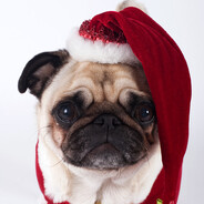 новогодний мопс