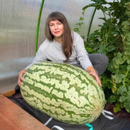 Малый Буян (река)