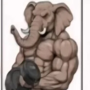 Egolift Elephant
