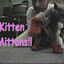 KittenMittons!!