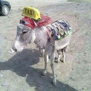 ТУН ТУН ТУН ПИЗДУ