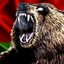 BLR_Bear