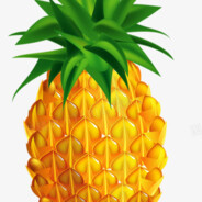 番茄味的西红柿